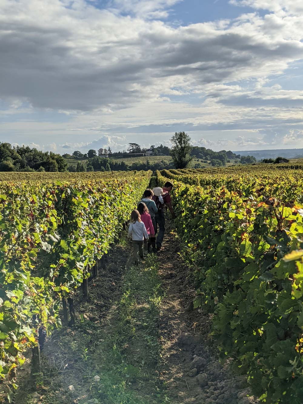 mazeris-fronsac-chateau-famille-de-cournuaud