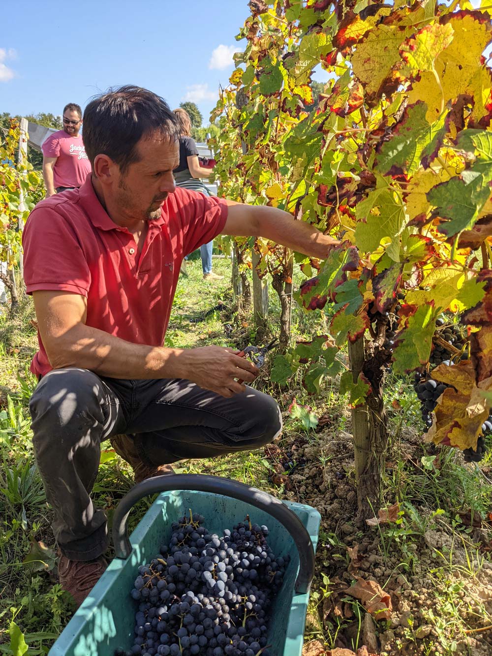 mazeris-fronsac-chateau-vin-de-cournuaud