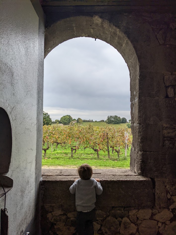 chateau-mazeris-fronsac-vignoble