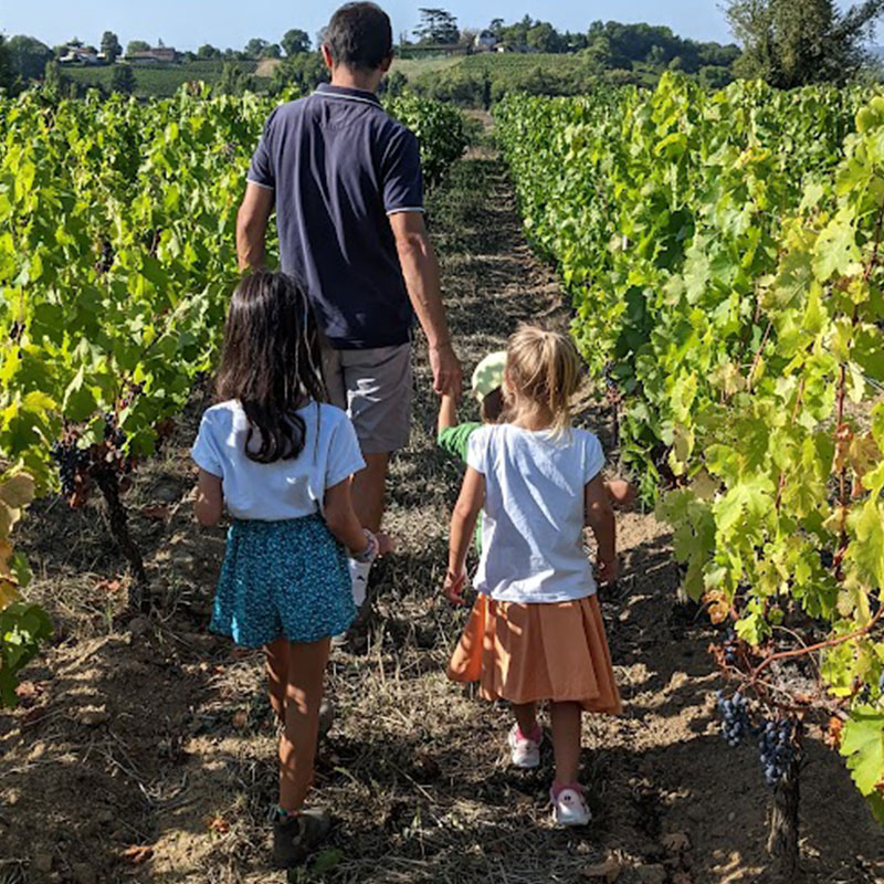 mazeris-chateau-generation-vin-fronsac